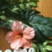 WELCOME HAWAIIAN WREATH