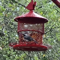 Bird Feeder for Outside Hanging, Squirrel Proof Hanging Metal Bird Feeders,Mesh