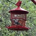 Bird Feeder for Outside Hanging, Squirrel Proof Hanging Metal Bird Feeders,Mesh