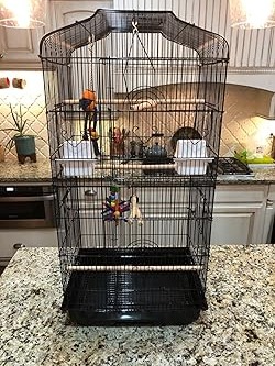 NEW 41-inch Open Top Medium Bird Cages for Parakeets Finches Canaries Lovebirds