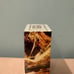 Pokemon Surging Sparks Build and Battle Box