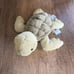 Jellycat Tully Turtle NEW! FAST SHIP Gift Valentines Day