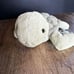 Jellycat Tully Turtle NEW! FAST SHIP Gift Valentines Day