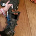 THOR riding boots