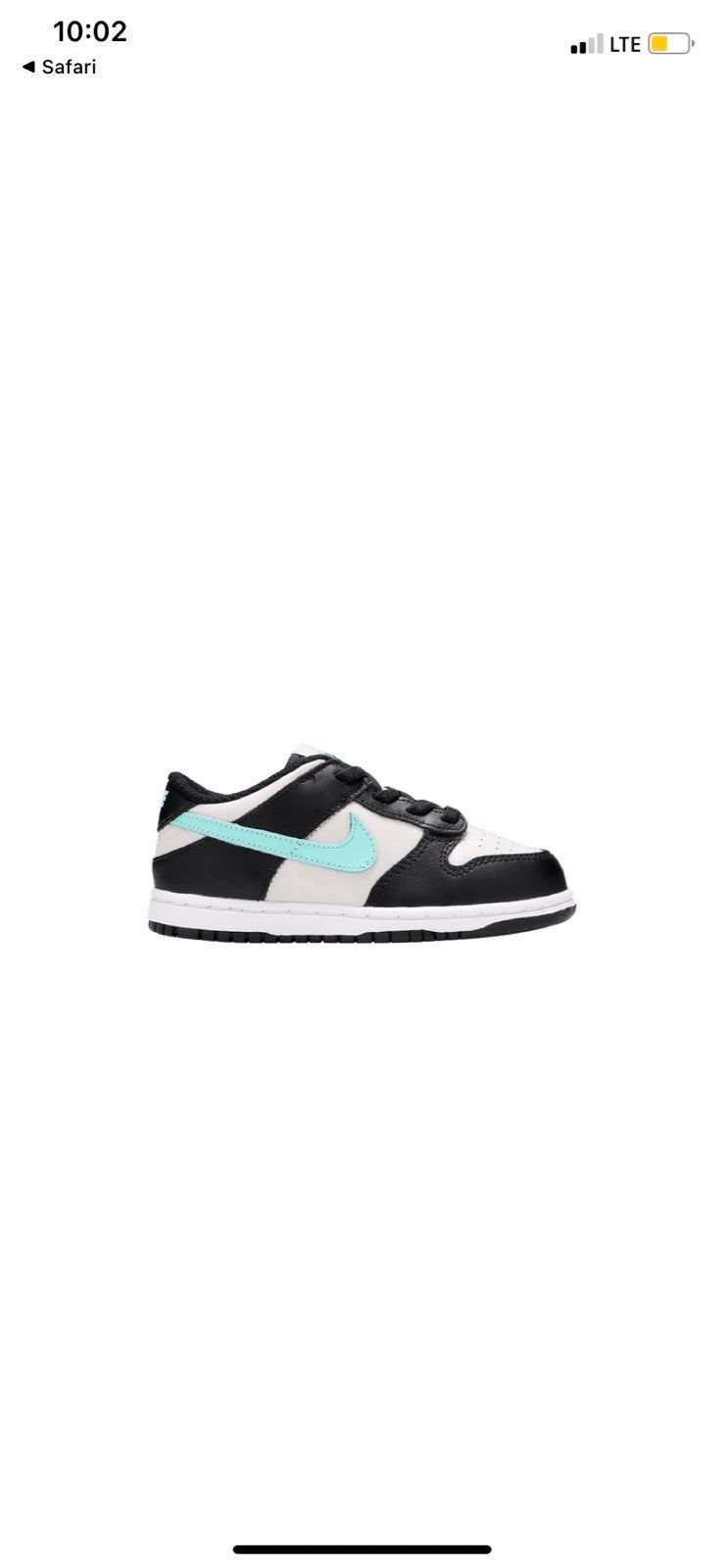 Tiffany blue dunk