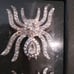 Bling spider ring napkin holders