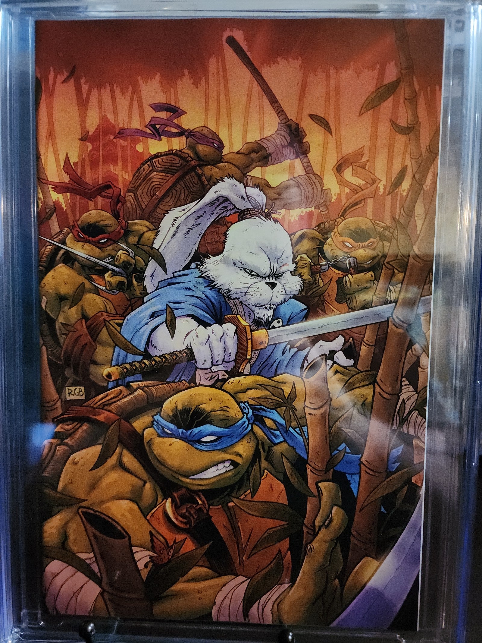 TMNT/Usagi Yojimbo: WHEREWHEN #1 Variant Cover CGC 9.8