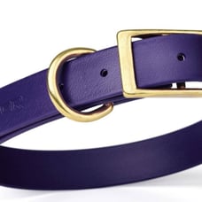 PURPLE Viper Biothane Waterproof Collar - Brass Hardware 20 -24