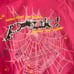 pink sp5der p*nk hoodie