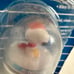 Vintage Snoopy Bicycle Bell New In Package AC International Peanuts Sealed READ
