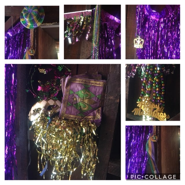 Party Theme Mardi Gras Decorations