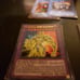 1,000+ Yu Gi Oh Cards and Dueling Mats