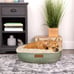 Vibrant Life 22019 Round Dreamer Mattress Edition Dog Bed, Small, 22 x22\