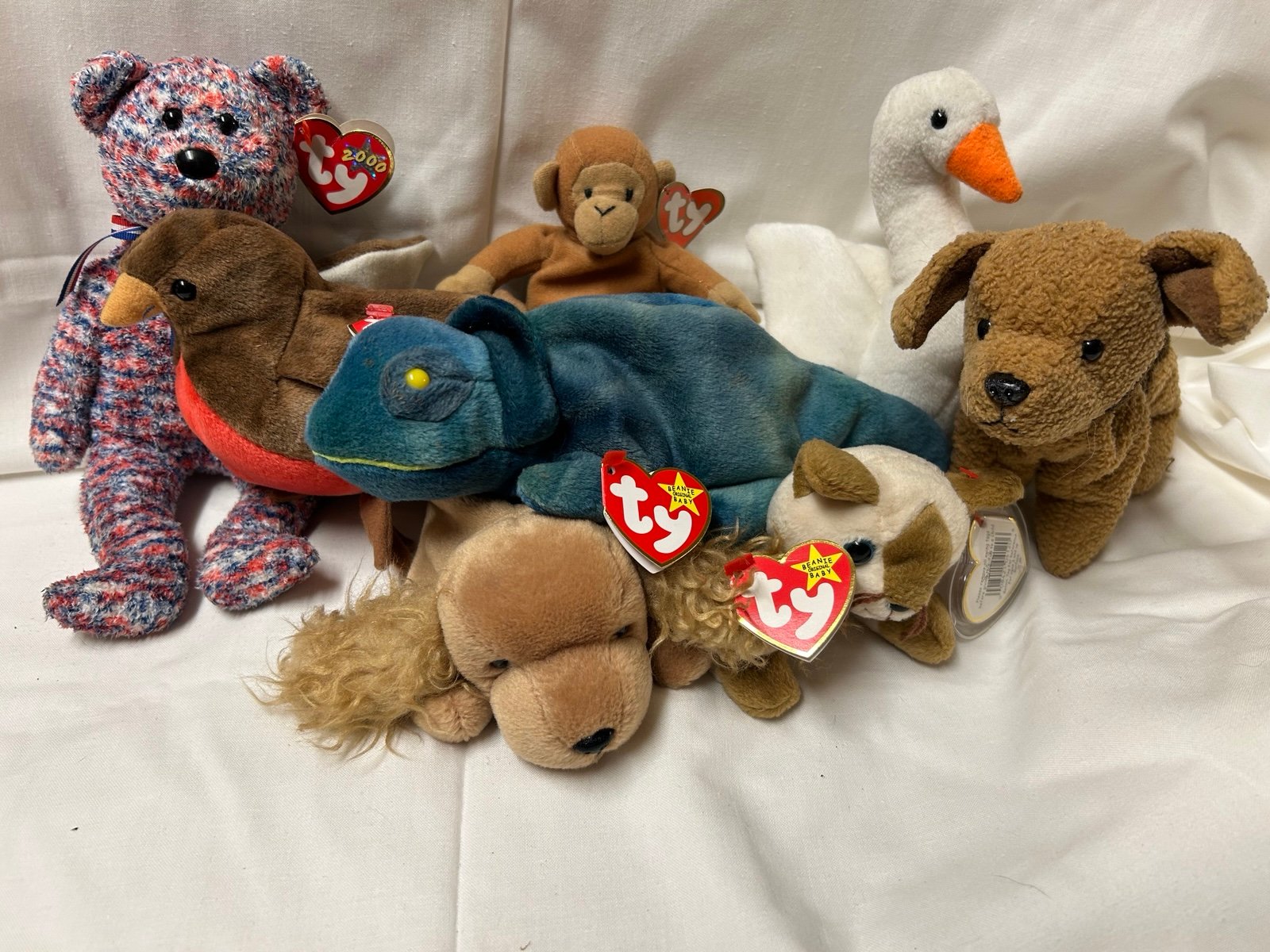 TY beanie baby haul (plus a rare one with a typo that's worth $$$$$)