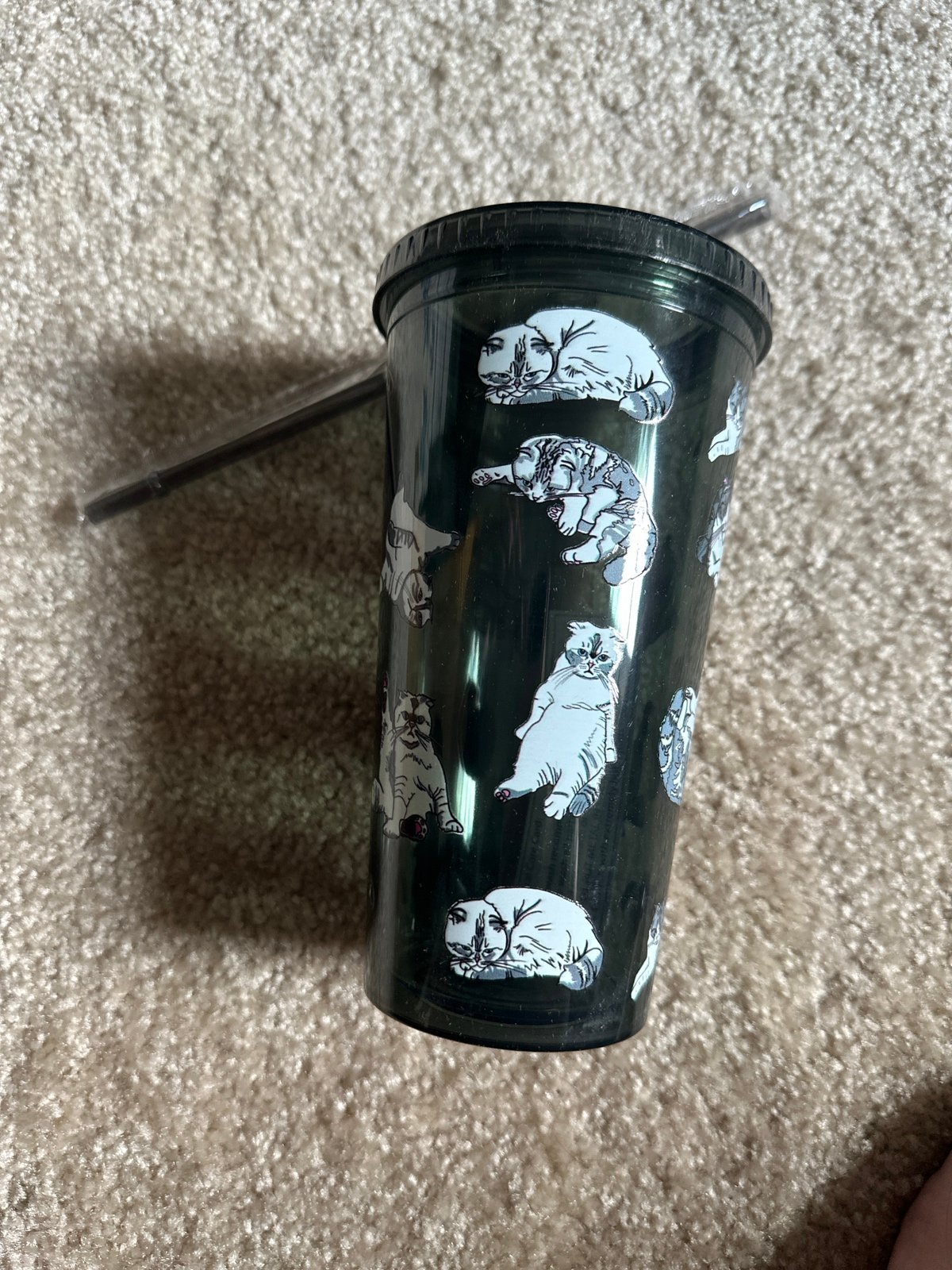 Taylor Swift Meredith and Olivia Cat Tumbler Official Merch with Confetti!