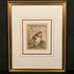 Antique 18th C. Framed Monkey Colored Engraving L'Aigrette By Comte de Buffon