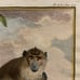 Antique 18th C. Framed Monkey Colored Engraving L'Aigrette By Comte de Buffon