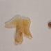 Vintage Pair of Carved Jade Framed Wall Arts (17 x 14 )