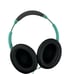 BOSE Quiet Comfort Wired Headphones in Mint / C853J