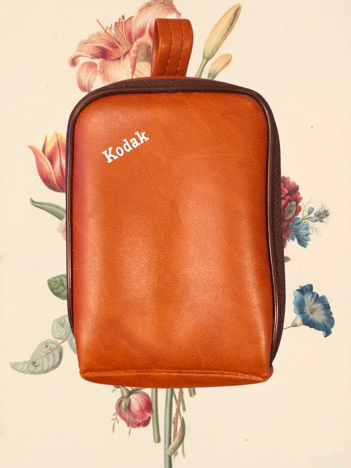 Kodak Pocket Tote Brown Leather Camera Case With Loop Belt Hoop Soft Lining