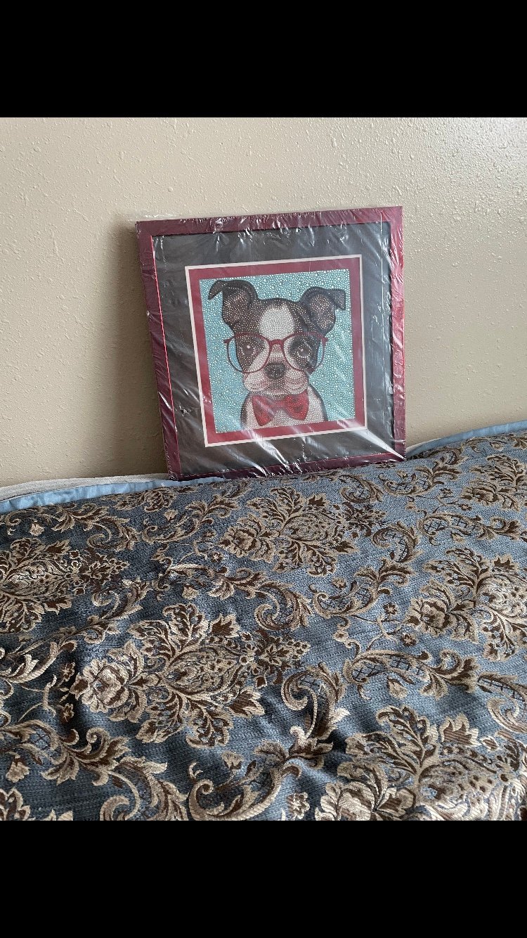 Dog pic