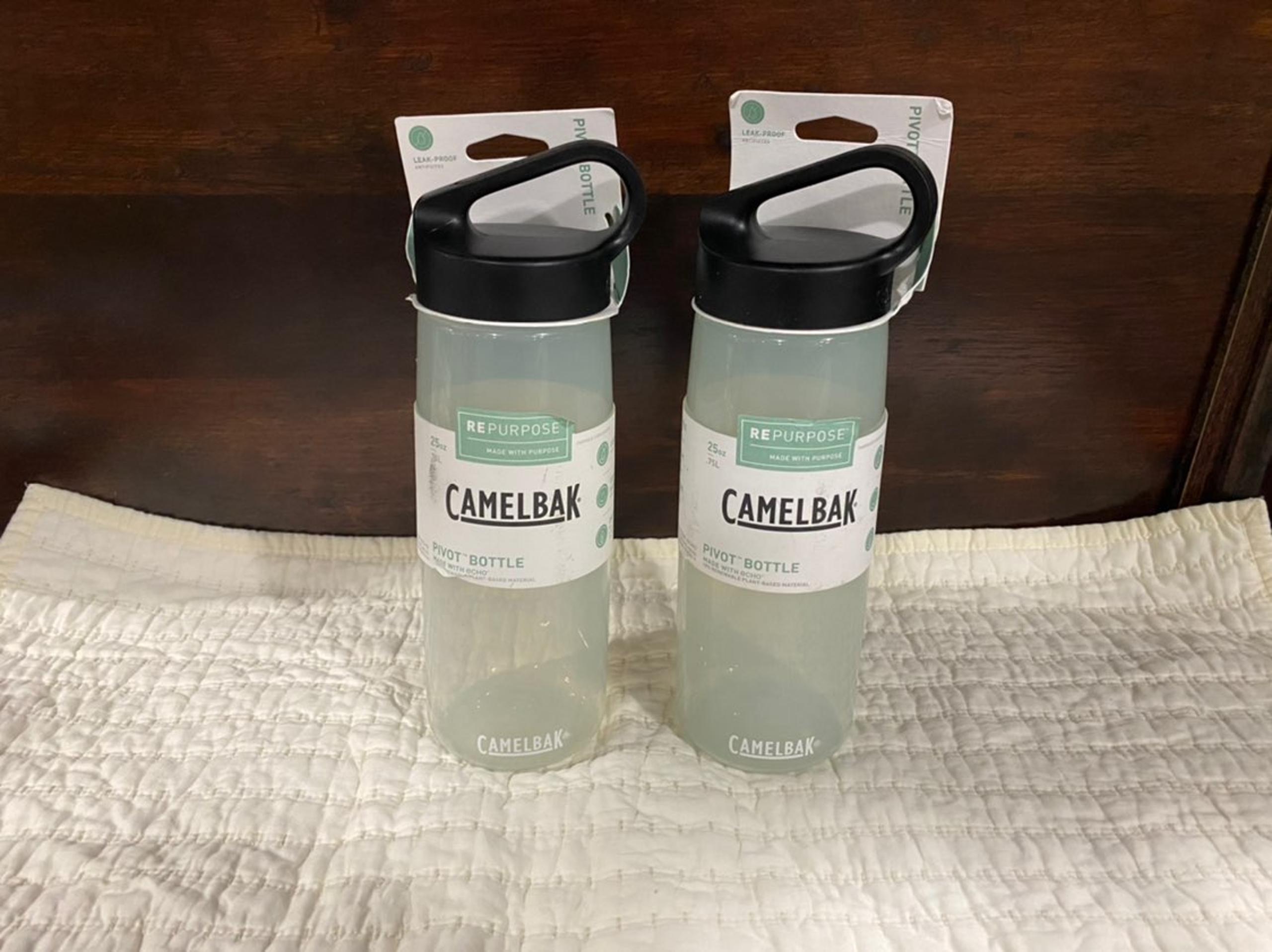 Camelbak Pivot Bottle-set of 2
