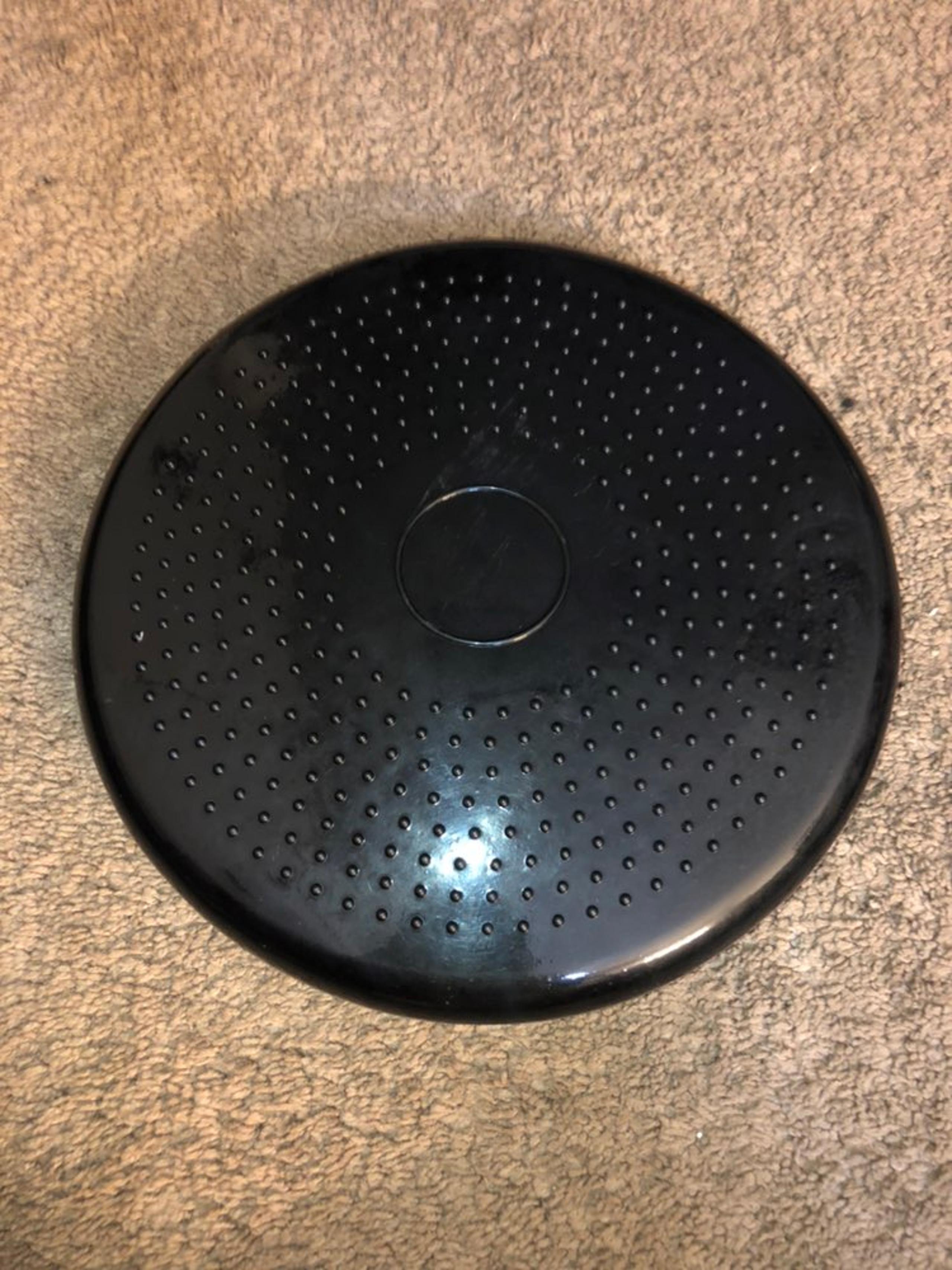 stability disc