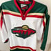 Minnesota Wild Vintage Pro Player Hockey NHL Jersey Size L long sleeve NWT 400.