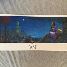 Disney Wish Artwork Print