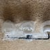 Bathroom light fixture