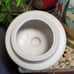 PARIS & BEEBEE COOKIE JAR French Countryside SWEETZ & TREATZ Biscotti Jar EUC