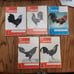 The Gamecock