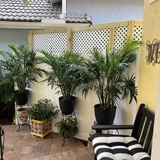 1 PC 2 Tier Plant Stand, 19.2 inch Tall Metal Potted Holder Rack