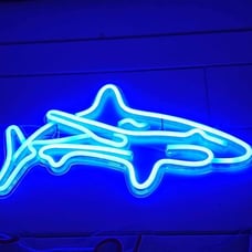 Led Oceon Dolphin for Bedroom Blue Neon Signs Wall Decorative 16.5 x8.9
