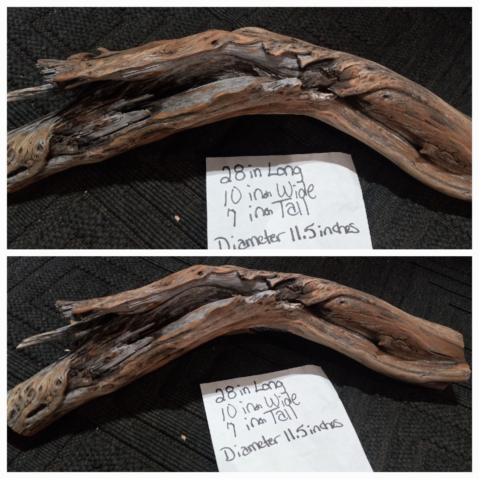 unique split/forked weathered manzanita driftwood LArge