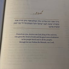 Complete Jewish Study Bible Genuine Calfskin Leather Black NEW