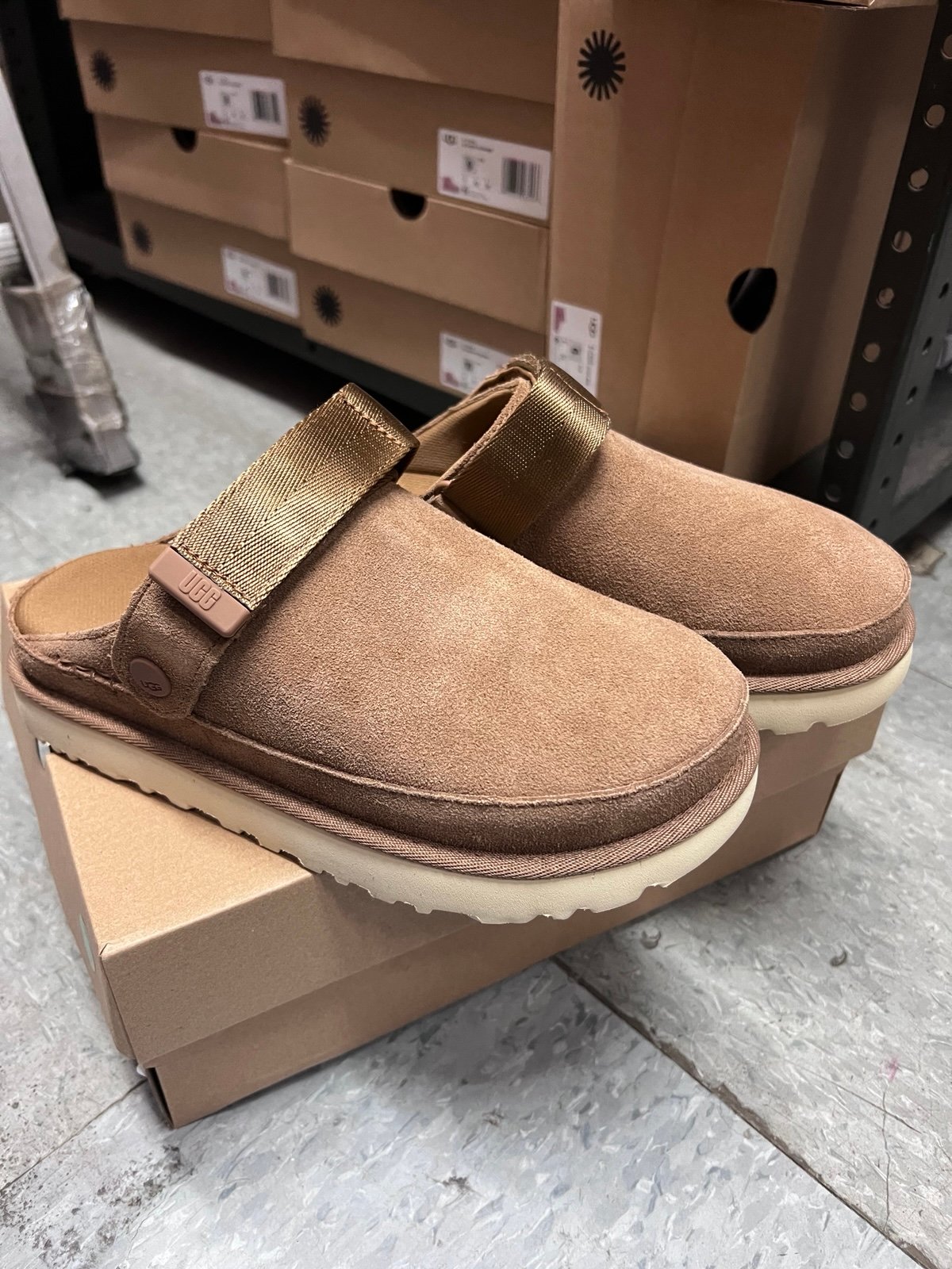 Ugg women Goldenstar clog slipper -new