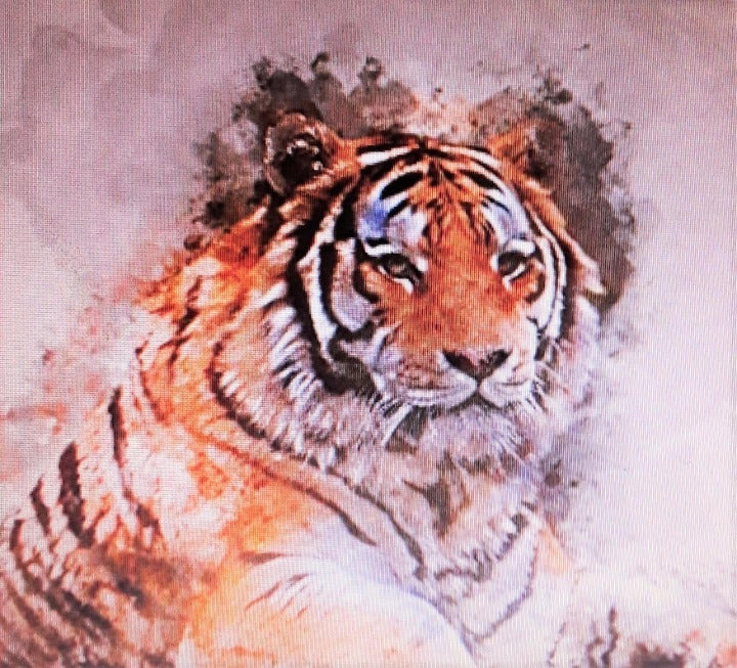 Wall Art- Tiger
