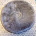 45 Cat Playset w/Cardboard Scratcher/Condo/Two Perch (Grey)