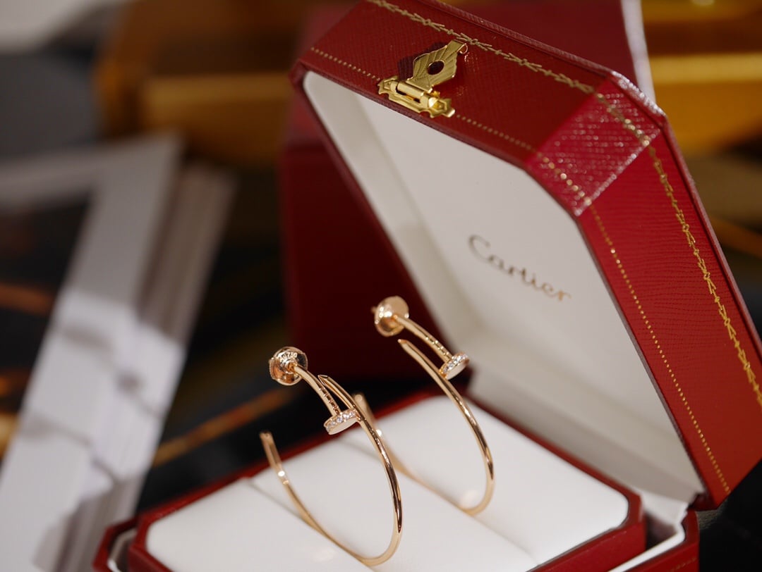 Earrings, brand new and unworn