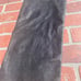 Harley-Davidson Leather pants