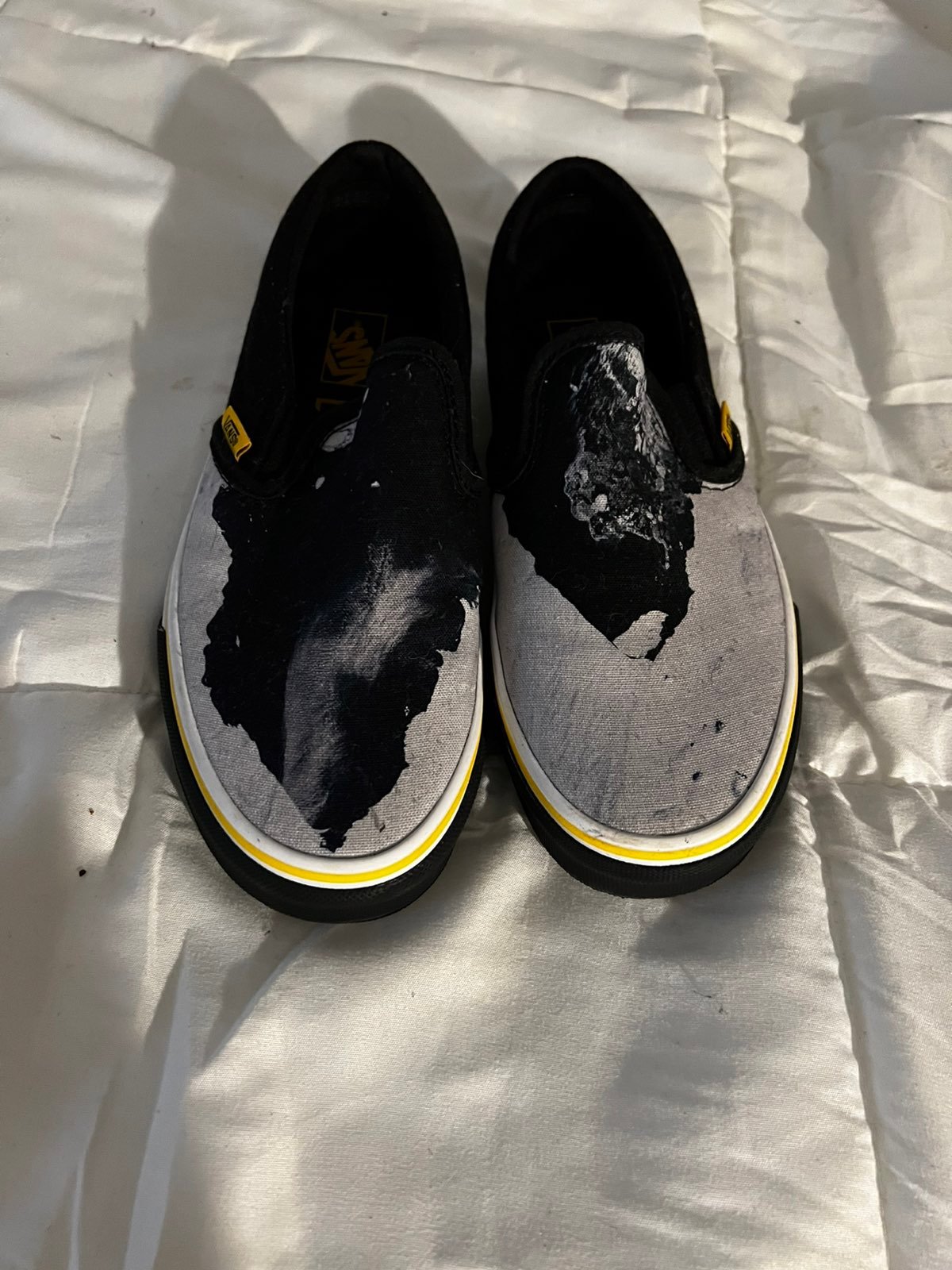 National Geographic Vans Slip-Ons