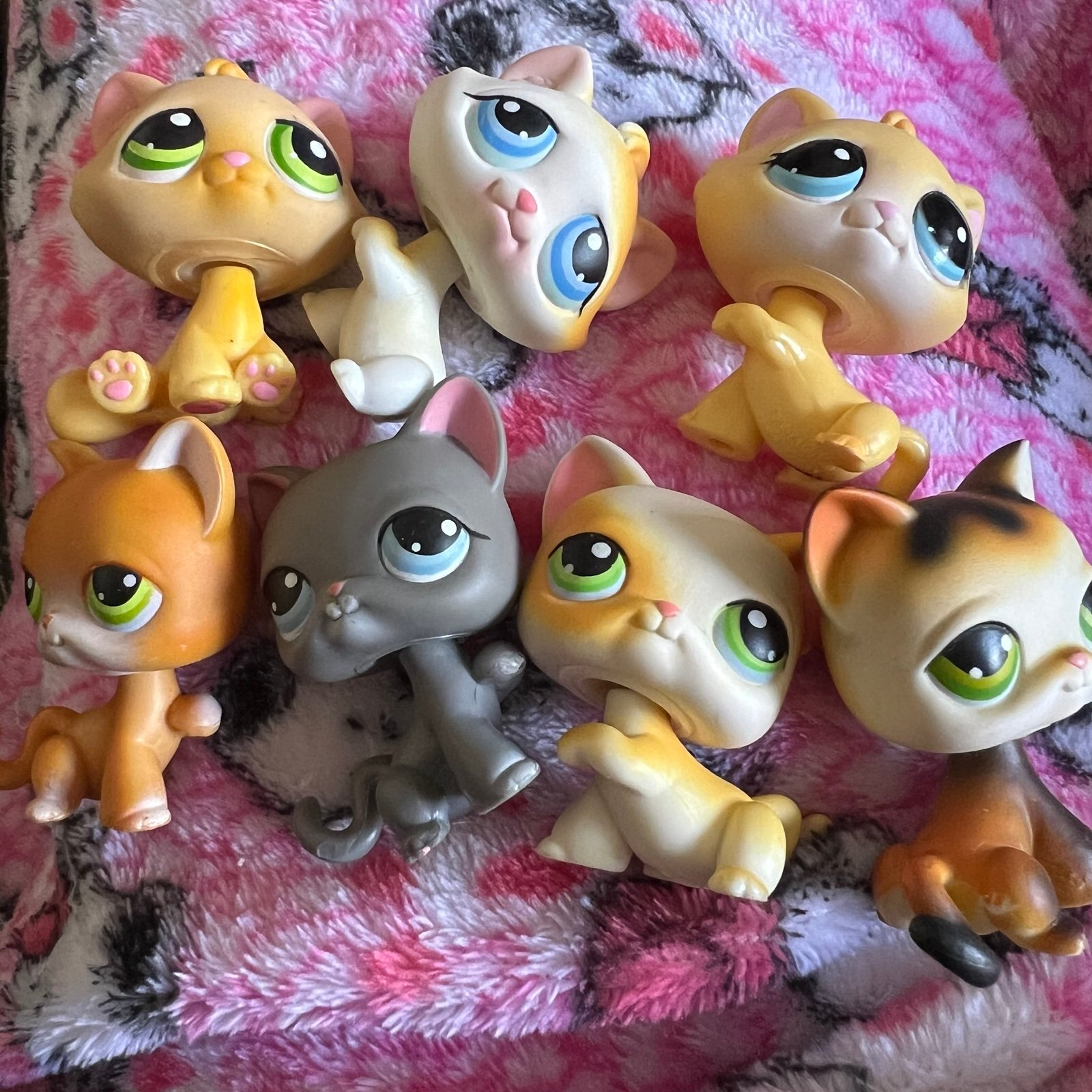lps cat lot 2!