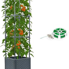 Raised Garden Bed with Tomato Planter Box