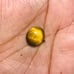 Tiger Eye Gemstone Cab-4pc-TEL-38