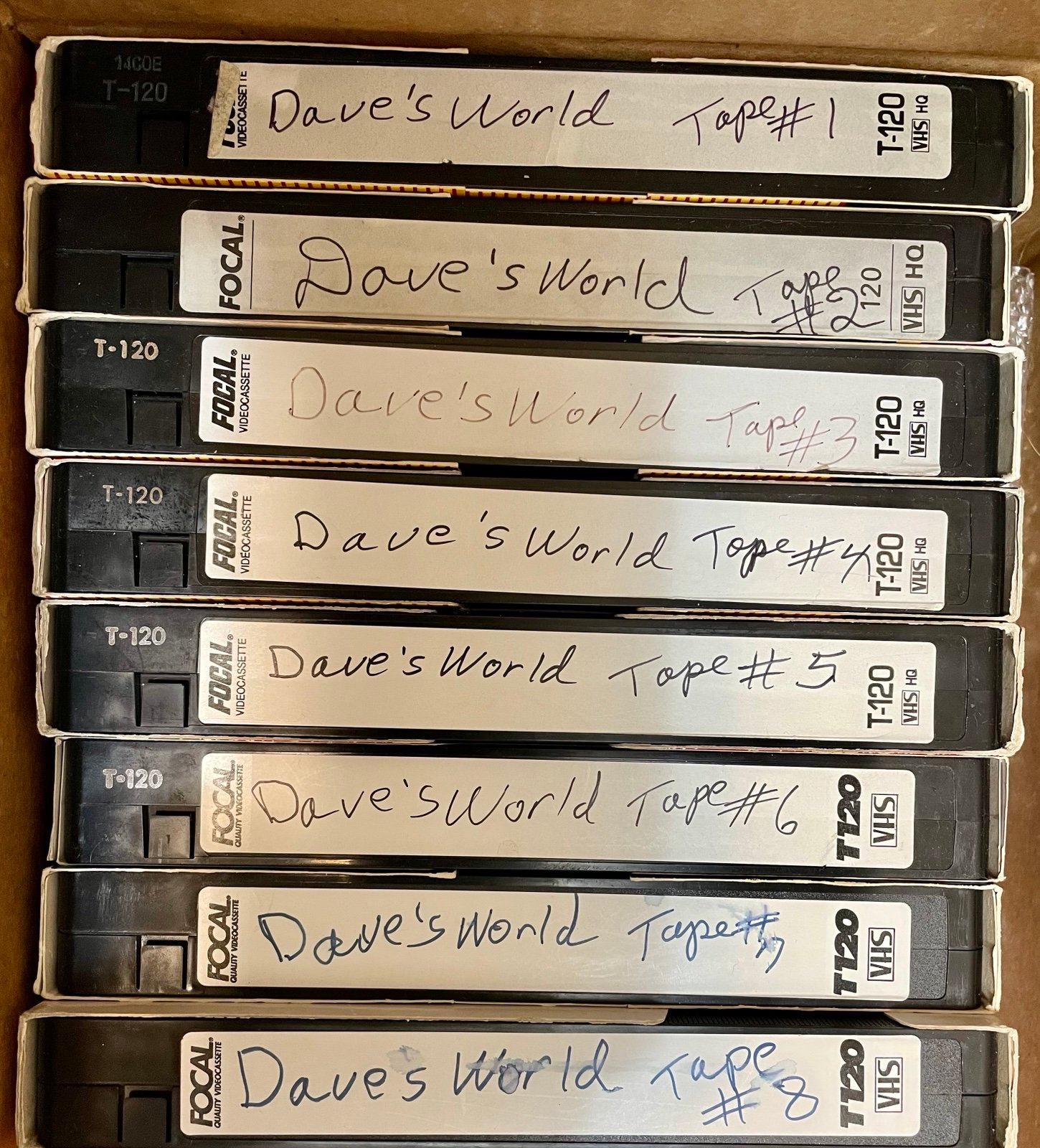 Dave's World season 4 +1 2 3 on 8 Recorded VHS tapes lost media sold as blank