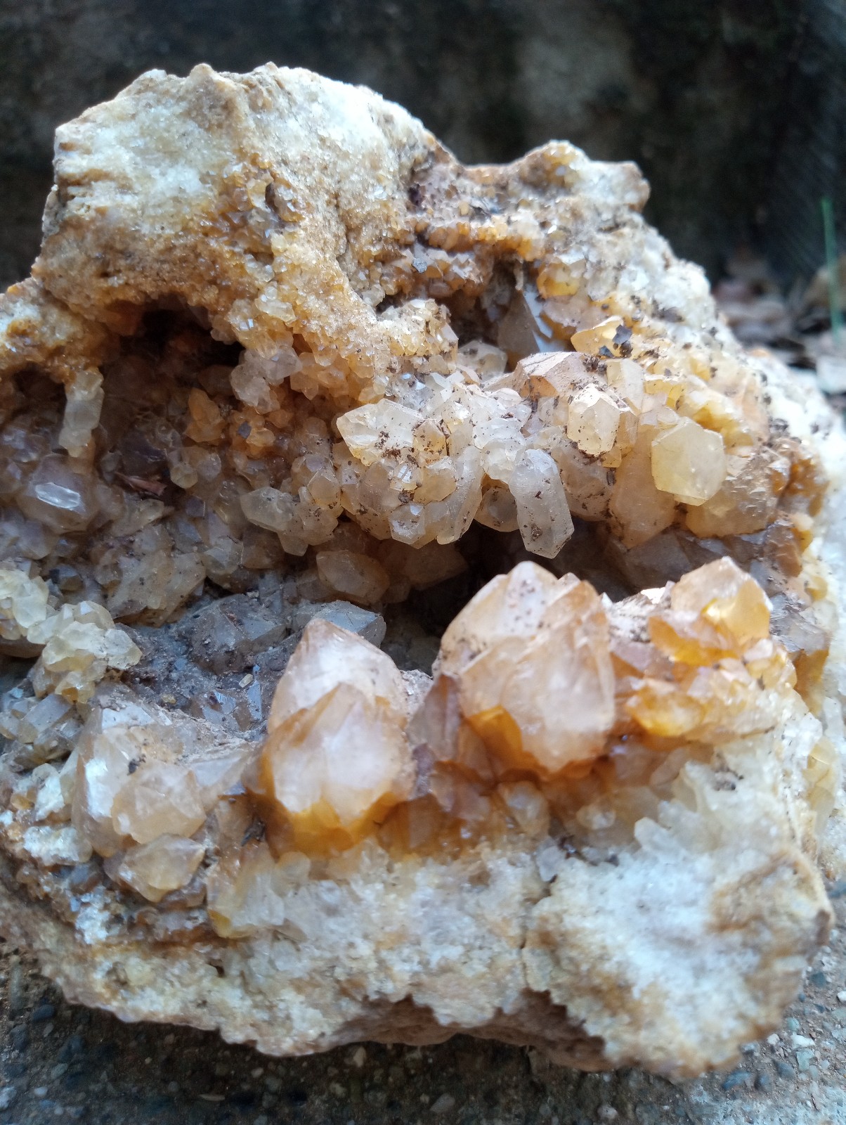 Brilliant topaz colored quartz Geode