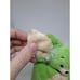 Neopets FAELLIE Plush Door Hanger Come In Do Not Disturb Green White Vtg