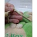 Neopets FAELLIE Plush Door Hanger Come In Do Not Disturb Green White Vtg