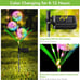 2 Pack Upgraded Decorative Solar Lights Garden Decor